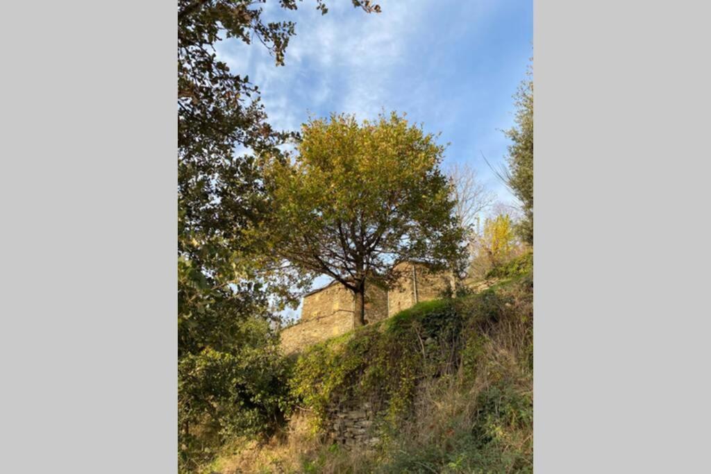 Вілла La Pellegrine, Parc National Des Cevennes Le Salson Екстер'єр фото