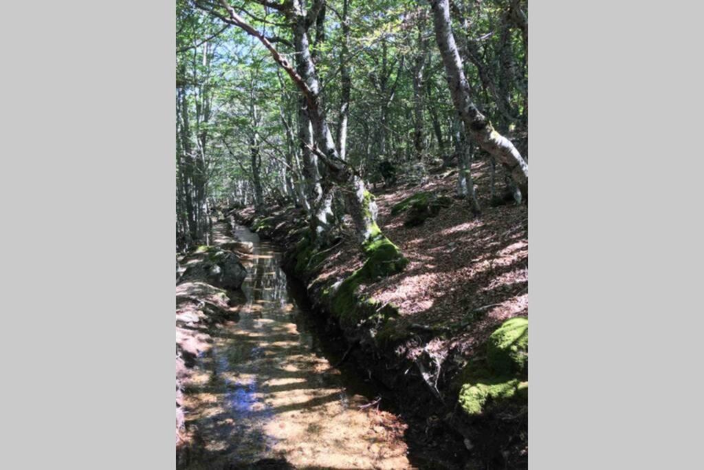 Вілла La Pellegrine, Parc National Des Cevennes Le Salson Екстер'єр фото