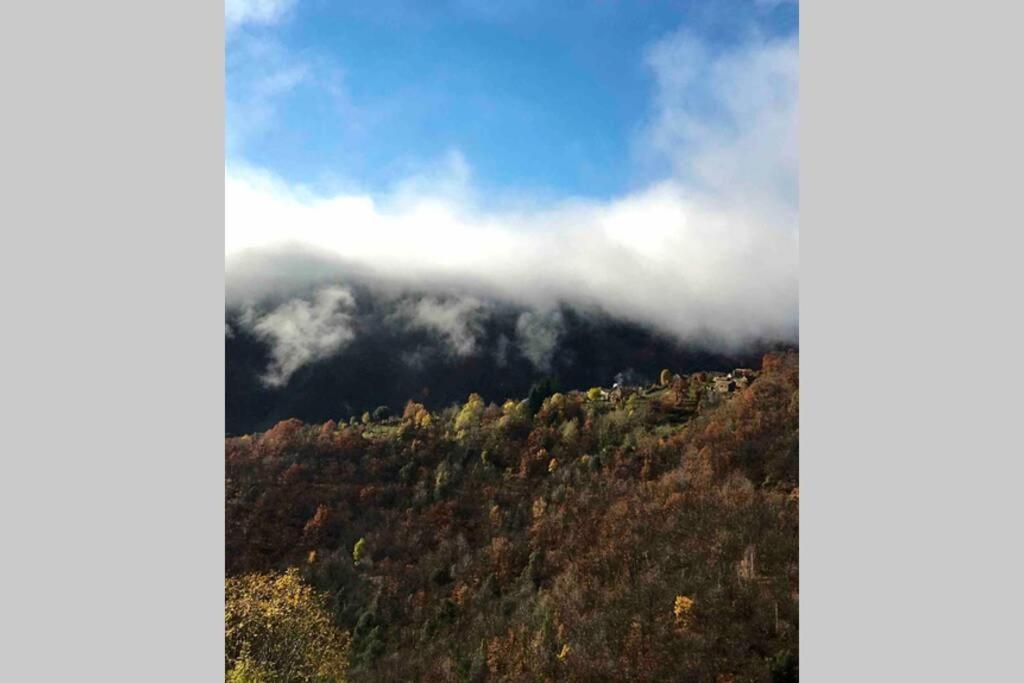 Вілла La Pellegrine, Parc National Des Cevennes Le Salson Екстер'єр фото