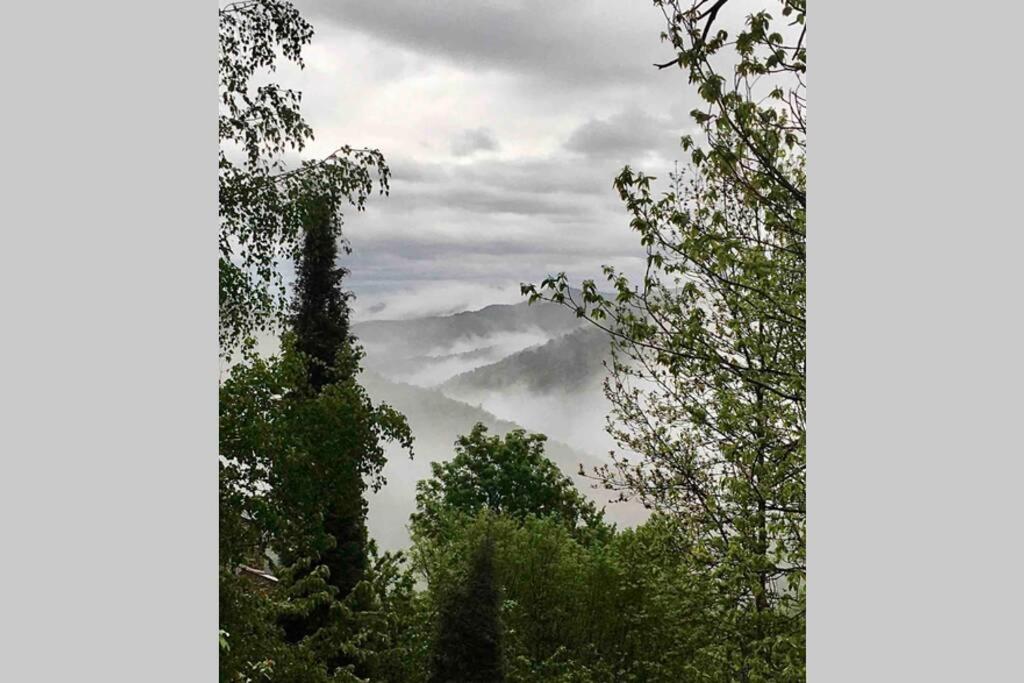 Вілла La Pellegrine, Parc National Des Cevennes Le Salson Екстер'єр фото